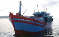 6 ngư dân bị tàu Trung Quốc tấn công ở Hoàng Sa đã cập cảng an toàn