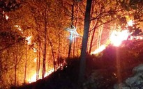 Huy động hàng trăm người xuyên đêm chữa cháy rừng quy mô lớn tại Quảng Nam