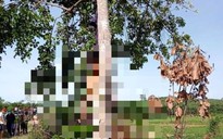 Quảng Nam: Phát hiện người đàn ông chết trong tư thế treo cổ trên cây