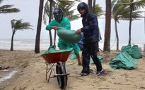 Bão số 5: Người dân đội mưa đóng từng bao cát gia cố bờ biển Hội An