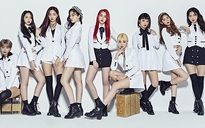 Nhóm Momoland và Monsta X diễn cùng Thu Minh, Tóc Tiên