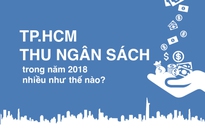 TP.HCM đã đóng góp bao nhiêu vào ngân sách Nhà nước?