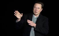 Elon Musk từ chối tham gia hội đồng quản trị Twitter