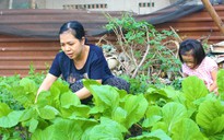 Hai phụ nữ biến bãi rác, sân thượng thành vườn rau củ quả xanh mướt