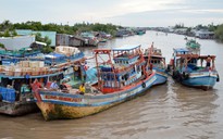 Cà Mau kêu gọi tàu thuyền vào bờ để ứng phó áp thấp nhiệt đới