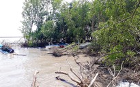 Đồng bằng sông Cửu Long mỗi năm mất từ 300-500 ha đất vì sạt lở