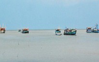 Cà Mau: Cửa biển Khánh Hội mới nạo vét đã bồi lấn, dân kêu tới chính quyền