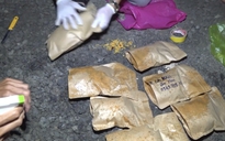 Cà Mau: Giấu ma túy trong túi khô gà đem đi bán