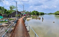 Cà Mau: Sạt lở bờ sông ngày càng nghiêm trọng