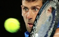 Choáng khi Novak Djokovic bị hủy thị thực vào phút chót, không dự Úc mở rộng
