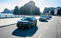 Thị trường ô tô nửa đầu năm 2018: Peugeot vượt lên trong phân khúc SUV/CUV châu Âu