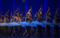 Cơ hội thưởng thức vở ballet 'Hồ Thiên Nga' giữa Hồ Thiên Nga Ecopark