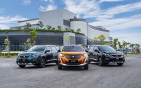 Peugeot tạo 'cú hích' cuối năm, giao xe trước thềm năm mới
