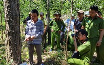 Công an đã bắt 'ông trùm' hủy hoại rừng thông Lâm Đồng