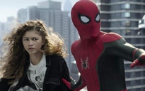 'Spider-Man: No Way Home' đạt doanh thu cao thứ sáu trong lịch sử với 1,69 tỉ USD