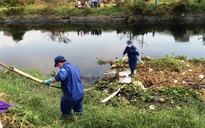 Phát hiện xác chết phân hủy nặng gần cầu Tham Lương