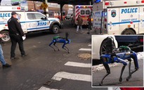 New York muốn cấm cảnh sát vũ khí hóa robot