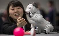 Robot sẽ thay thế thú cưng?