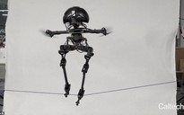 Robot biết bay, đi thăng bằng trên dây
