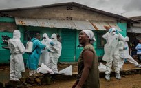 The New York Times đoạt giải Pulitzer nhờ loạt bài về Ebola