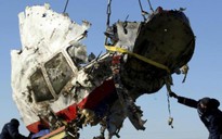 Thân nhân hành khách MH17 kiện Tổng thống Nga, đòi bồi thường