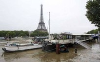 Thủ đô Paris của Pháp chìm trong biển nước