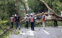 Đài Loan tất bật chuẩn bị đối phó siêu bão đổ bộ