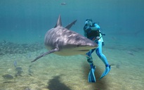 Hé lộ chương trình ‘cá mập cảm tử’ của Hải quân Mỹ