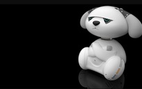 Nhiều người trẻ châu Á làm bạn với robot do quá cô đơn