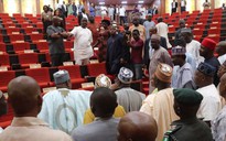 Nghị viện bang ở Nigeria náo loạn vì rắn