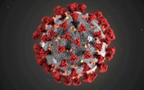 Những bí ẩn nguy hiểm bao trùm virus Corona chủng mới