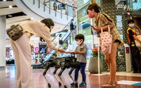 Chó robot giúp người mua sắm Thái Lan phòng dịch Covid-19