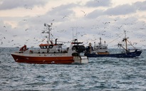Anh sẽ điều tàu chiến bảo vệ quyền đánh bắt cá nếu phải rời EU không thỏa thuận