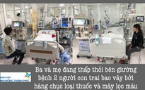 Ong vỡ tổ đốt gia đình 5 người: 2 tử vong, 3 nguy kịch