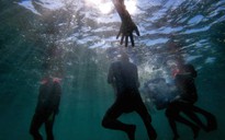 Người trẻ Đà Nẵng hào hứng với thử thách… lặn biển nhặt rác, giải cứu san hô