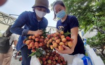 Hội doanh nhân trẻ Đà Nẵng mua gần 100 tấn vải Bắc Giang giúp người dân