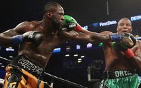 Deontay Wilder gửi 'chiến thư' 50 triệu USD cho Anthony Joshua