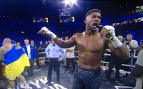 Võ sĩ bất bại Anthony Joshua như bị mất trí sau cú sốc thua đối thủ Ukraine