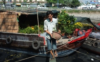 Người Sài Gòn đi chợ hoa Bến Bình Đông 2020: Hoa tươi, người bán 'héo'