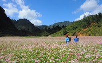 Hà Giang vẫy gọi du khách với nhiều ưu đãi, miễn phí vé tham quan