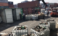 Rác thải độc hại trong 20 container 'lén' cập cảng Cát Lái