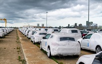 Gần 6.000 ô tô được nhập khẩu trong 15 ngày