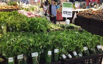 Hàn Quốc phạt nặng dùng túi nilon, siêu thị Việt bó rau bằng lá chuối