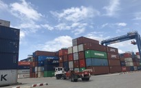 Corona kéo xuất khẩu sang Trung Quốc giảm hơn 35%