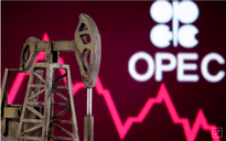 Giá xăng dầu ngày 8.6.2020: Dầu WTI và Brent đều tăng mạnh