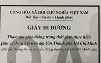 Từ 23.8, có 26 mã số đi đường cho người được phép lưu thông ngoài đường