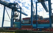 Phí hạ tầng cảng biển TP.HCM: Thu hơn 55 tỉ đồng trong 9 ngày