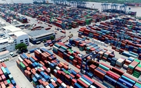 Cảng Cát Lái tồn hơn 100.000 container, hải quan TP.HCM kiến nghị gỡ khó cho doanh nghiệp