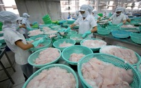 Vĩnh Hoàn và Nam Việt không bị áp thuế chống bán phá giá cá tra vào Mỹ