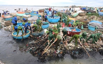 Hơn 400 người gom rác, làm sạch biển Bình Thuận